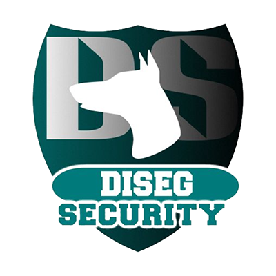 Diseg Security logo